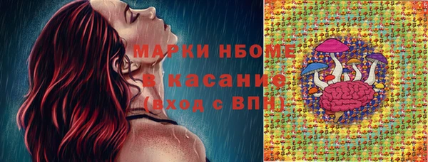 молекула духа Гусиноозёрск