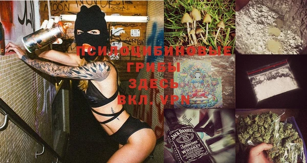 хмурый Дмитров