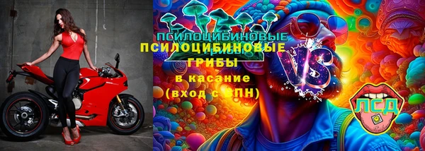 хмурый Дмитров