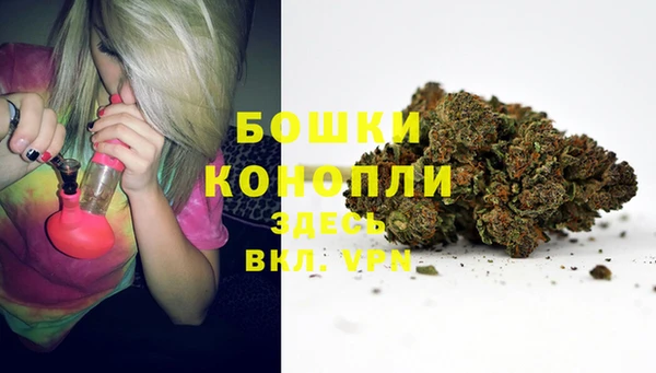 молекула духа Гусиноозёрск
