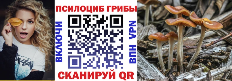 закладка Яранск дарк нет официальный сайт Псилоцибиновые грибы Magic Shrooms