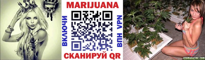 Бошки Шишки планчик  Яранск 